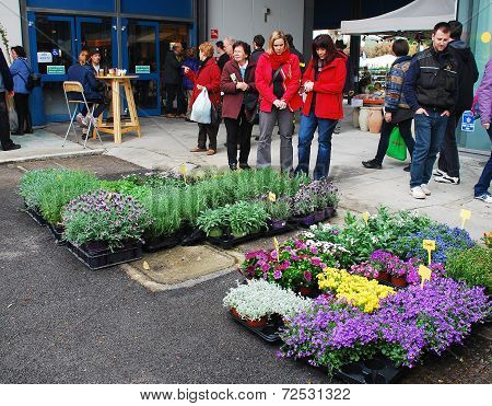 Plant Stall