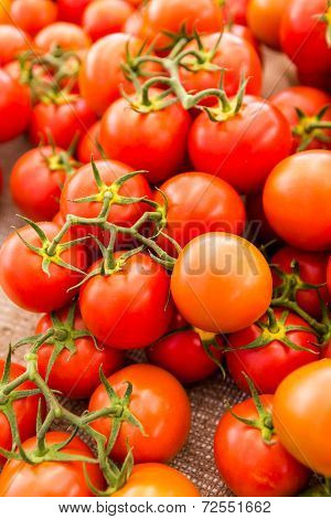 Red Tomatoes