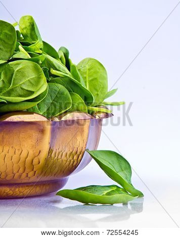 Fresh spinach leaves