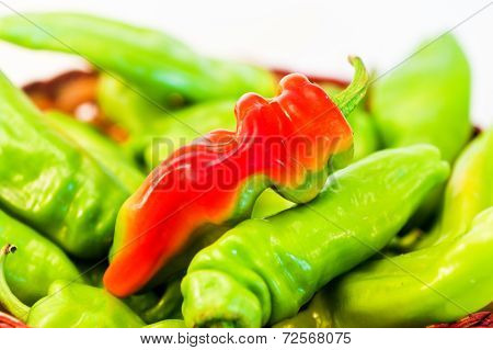 Chillies_2