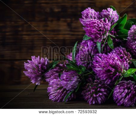 Bouquet of blooming clover on the wooden background.