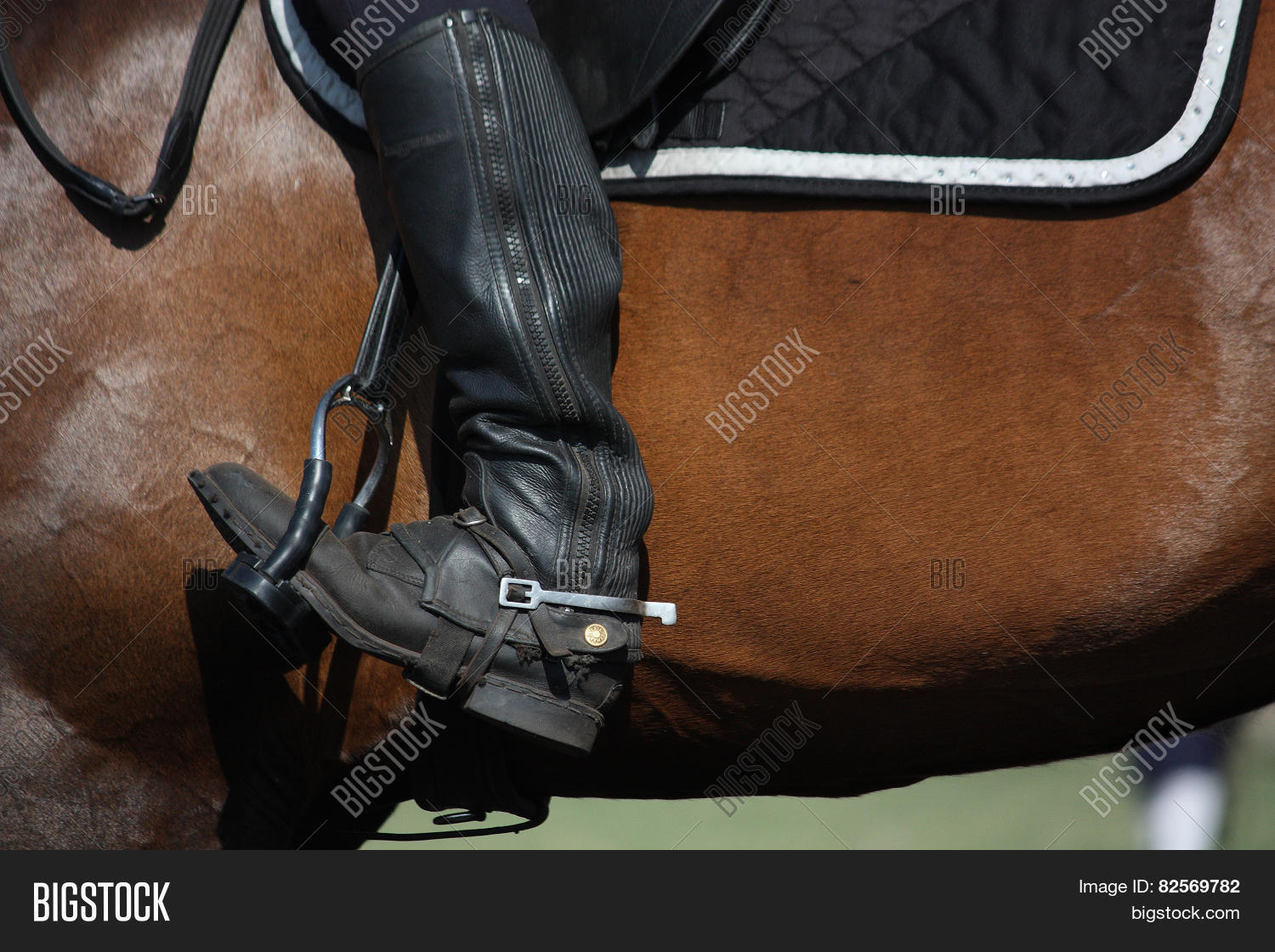 Close Rider Leg Spur Image & Photo (Free Trial) Bigstock