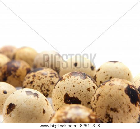 Quail Eggs In Their Plastic Packaging
