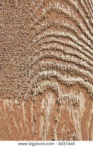 Texture legno