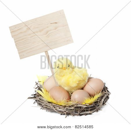Easter Chicken