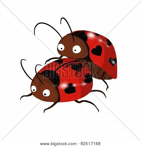 ladybirds