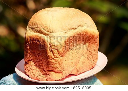 White Handmade Bread