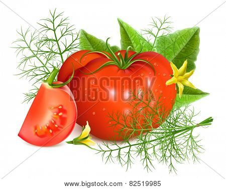 Red ripe tomatoes with dill. Vector illustration