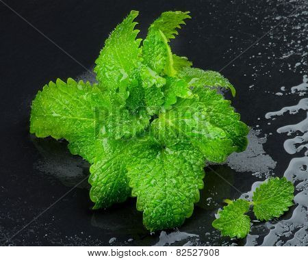 Mint Leafs