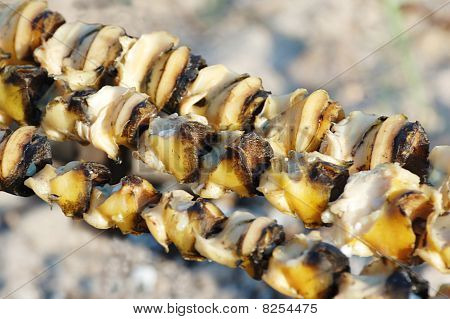 해산물 바베 큐 또는 Rapana 연체 동물에서 만든 시 케밥의 근접 촬영