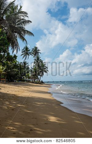 Indian Ocean Beach