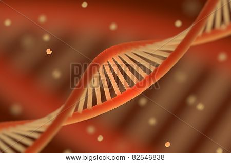 DNA chain macroshot.