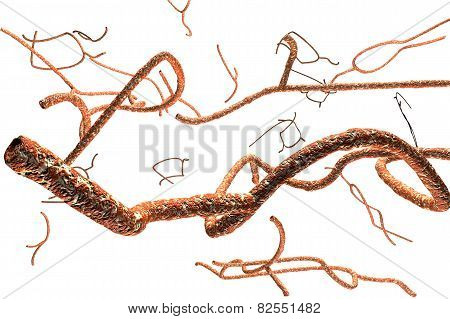 Microscopic Ebola Virus 3D render