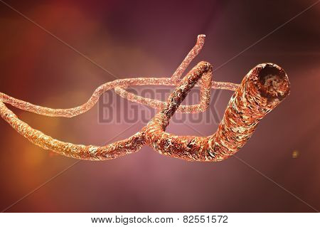 Microscopic Ebola Virus 3D render
