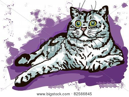 cat resting