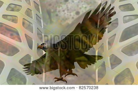 Double Exposure