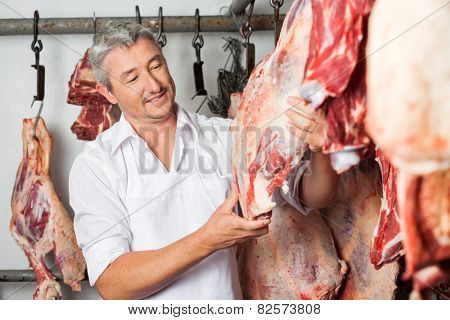 Confident mature male butcher checking quality of meat hanging in butchery