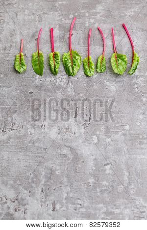 fresh beetroot leaves - fruits and vegetables