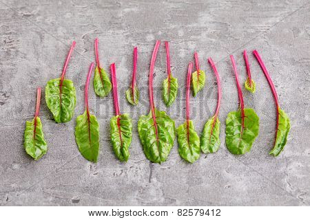 fresh beetroot leaves - fruits and vegetables