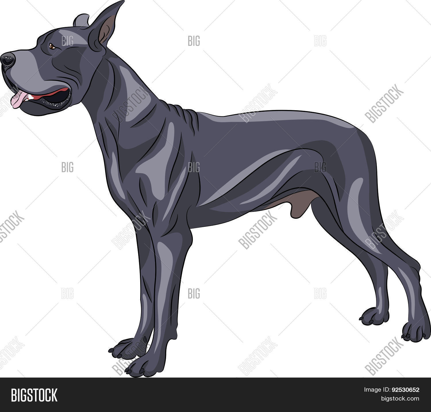 Vector. Great Dane Vector & Photo (Free Trial) | Bigstock