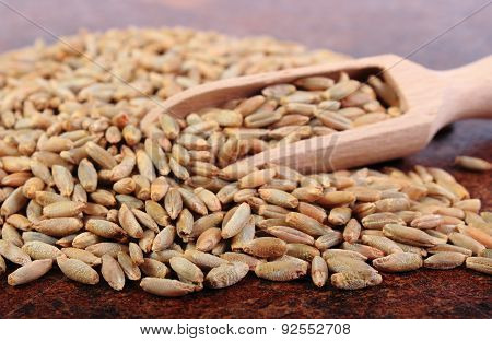 Heap Of Rye Grain With Wooden Spoon