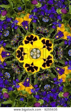 Caleidoscópio de flor parecida com uma Mandala