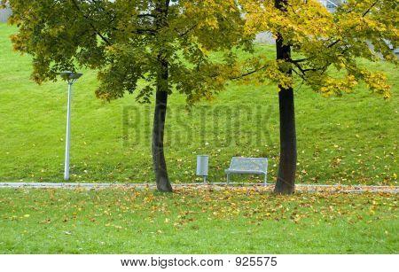 Осень Park2