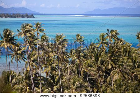 Azure lagoon of island BoraBora Polynesia. Mountains the sea palm trees.