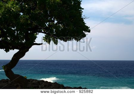 Ocean Breeze