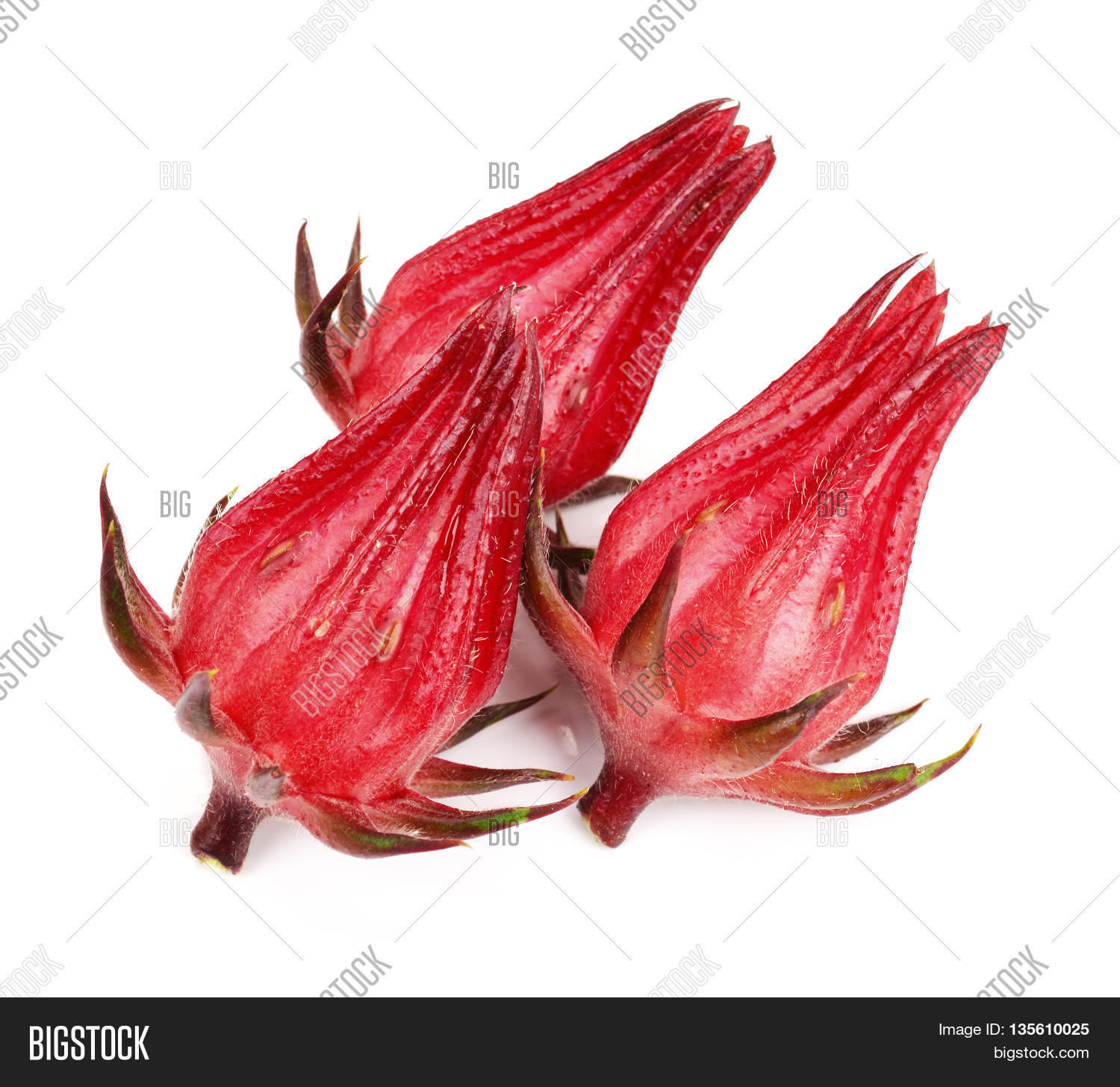 Hibiscus Sabdariffa Image & Photo (Free Trial) Bigstock