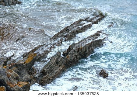 Evening Ocean Rocky Coast.