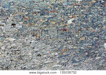 Stony Background.