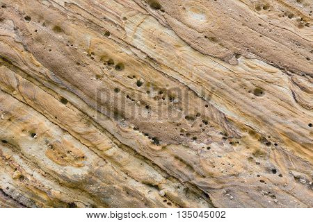 Part Of Rock Close Up.