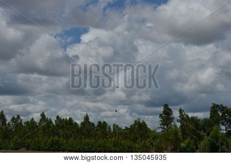 The cloud filled sky in a beautiful nature.