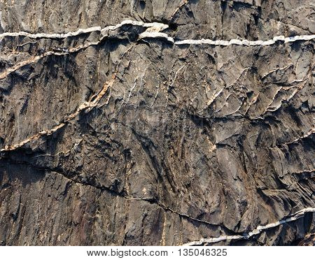 Part Of Rock Close Up.