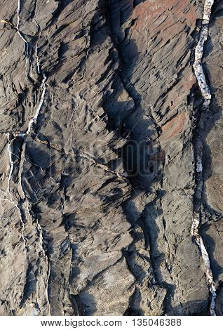 Part Of Rock Close Up.