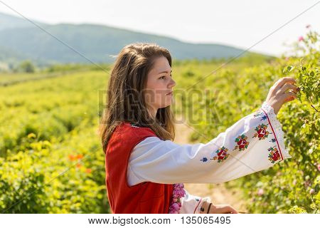 Rose Picking Ritual