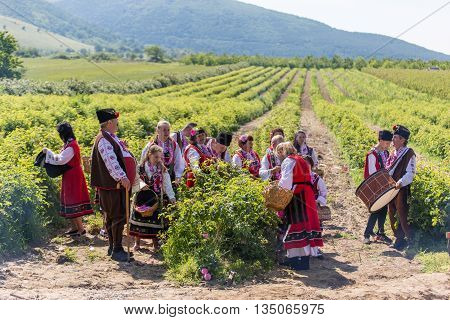 Rose Picking Festival