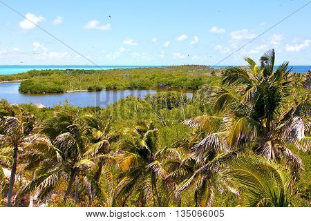 Isla Contoy   Sand     Mexico Froath   Day  Wave