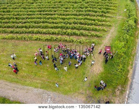 Rose Picking Festival Aerial View
