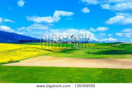 Beautiful landscape green and yellow meadow with field and snow mountain and village. Slovakia Central Europe region Liptov Mountain High Tatry