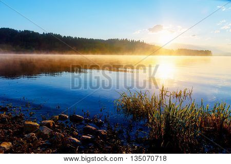 detail of grass halm at a lake in magical morning time with dawning sun