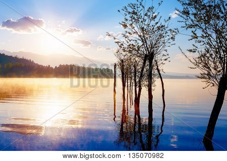 beautiful lake view in morning fog with mystic mountains and trees as leftovers of a mole in gold purple - blue tones. Slovakia Central Europe region Liptov