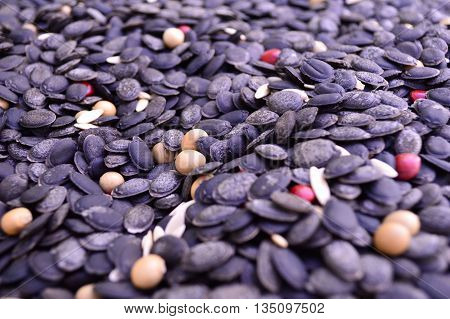 Dried plant seeds from central of Thailand