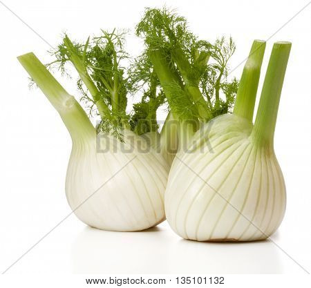 Fresh fennel bulb isolated on white background close up