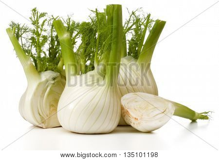 Fresh fennel bulb isolated on white background close up
