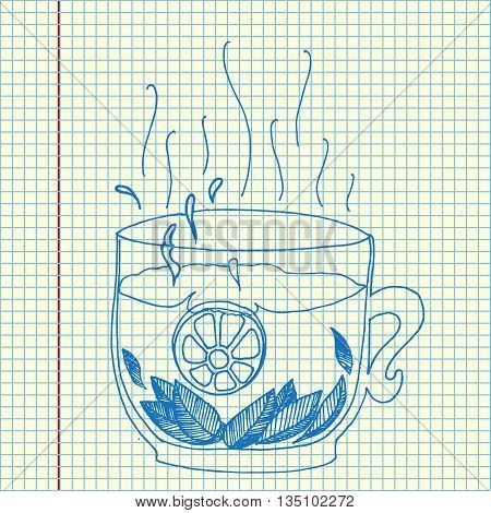 Tea with lemon and mint. Hand drawn vector stock illustration. Sheet ballpen drawing