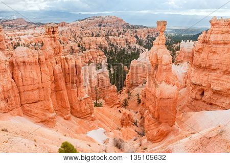 Thor's Hammer in Bryce Canyon National Park in Utah USA
