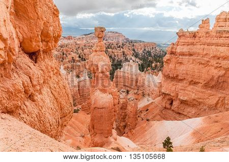 Thor's Hammer in Bryce Canyon National Park in Utah USA