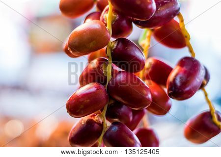 Clouse up the fresh Red Dates Fruit